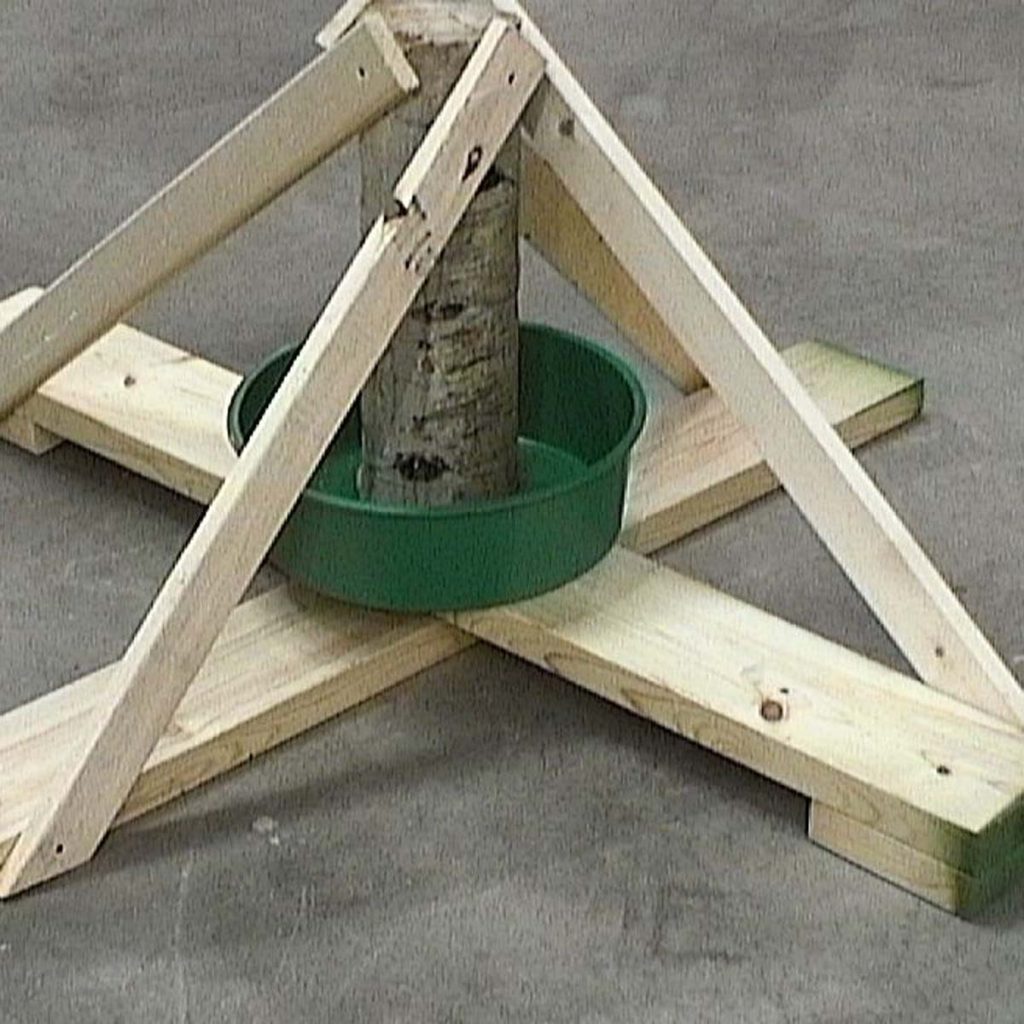 Leaky Tree Stand