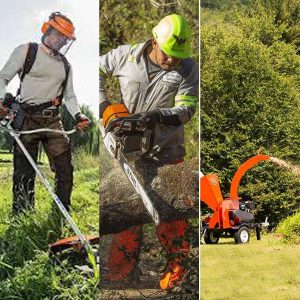 Tree & Brush Clearing