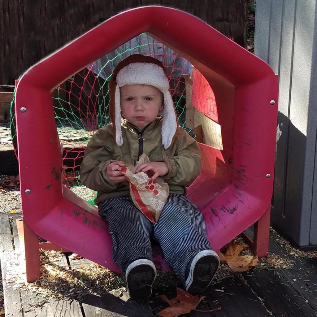 Biodegradable Netting