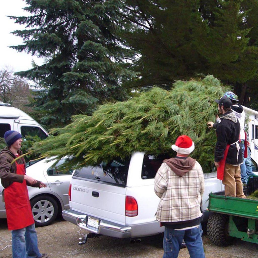 Our Experts Tie It On (no size limits)