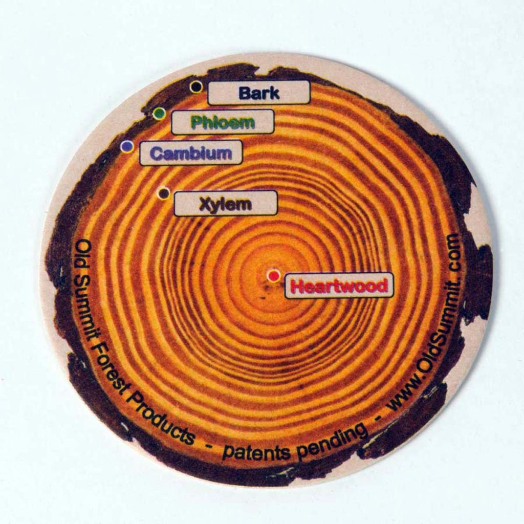 Keeps Tree Fresh Till It's In The Stand