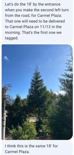 CarmelPlazaNov13Morning