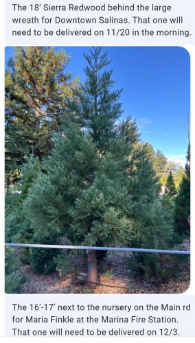 SalinasNov20Morning